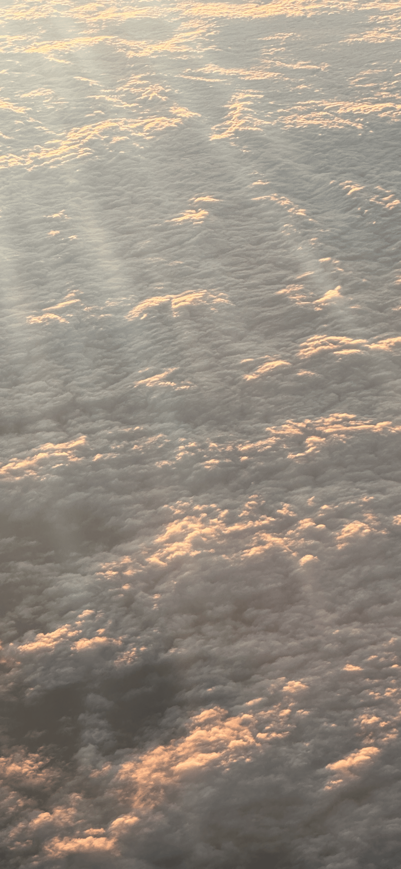 By Simone Stocker_Mindfulness Coach Mentor_Blossome Journal_Creative Director_Creative Tools