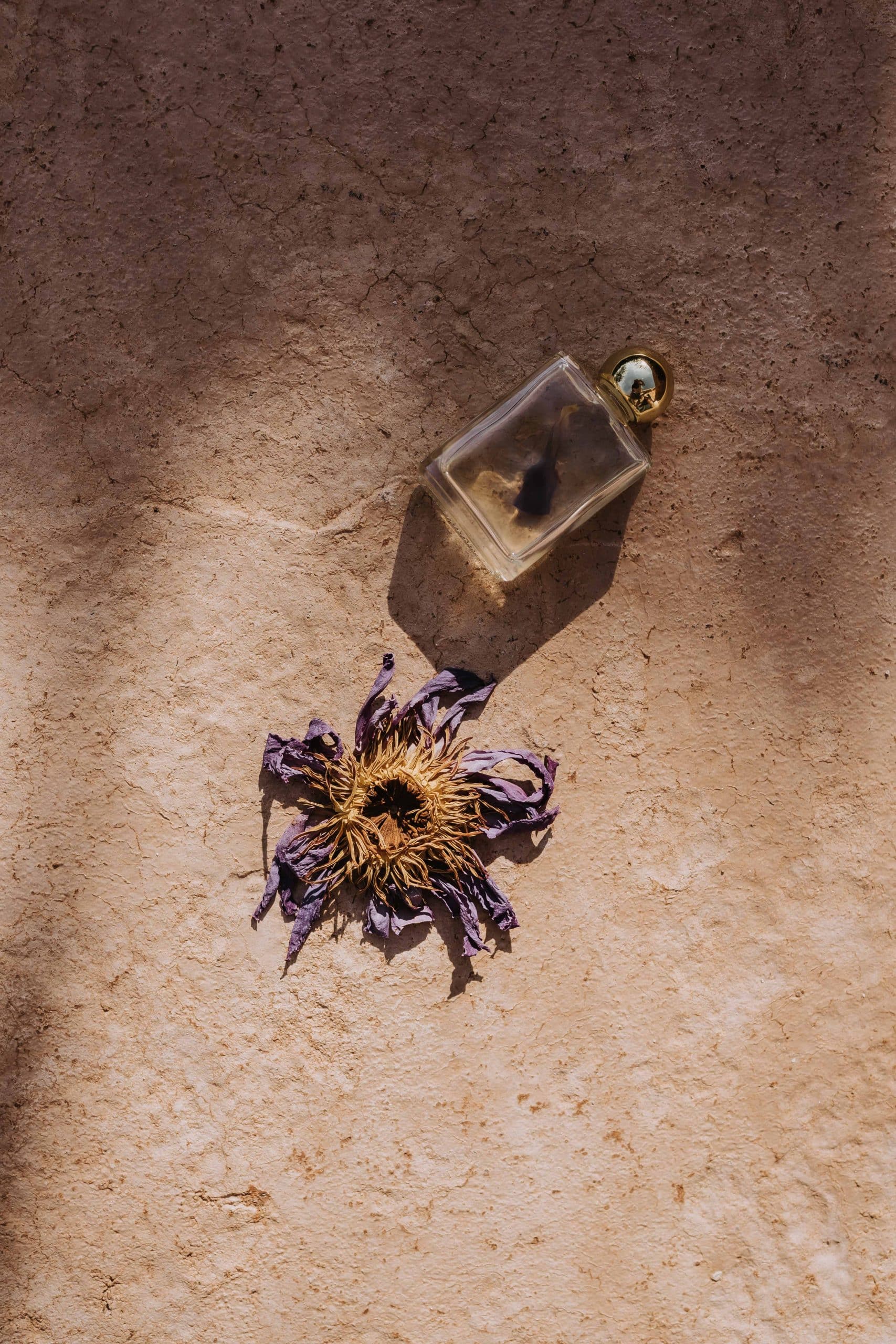 By Simone Stocker_Life Coach_Selbstliebe-Blossome journal-Art Direction-_plant dyed_flower dye_event design